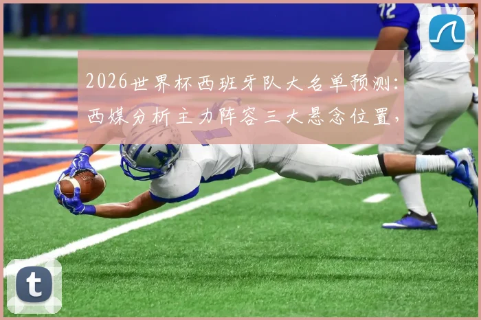 2026世界杯西班牙队大名单预测：西媒分析主力阵容三大悬念位置，附最终名单猜想